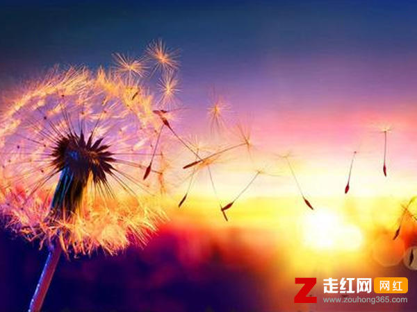 爱一个人好无奈是什么歌，爱情好无奈歌曲介绍