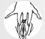 女生请进，20招教你揉豆豆