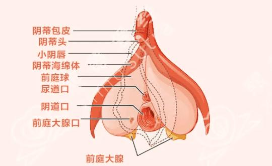 怎么让女的水变多？get这个技能女朋友秒变水娃