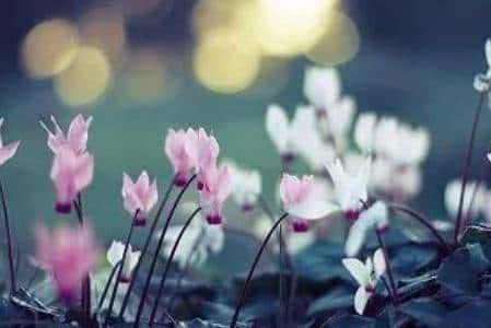 婚后无爱无性生活 认清4点让婚姻保卫战不寒心