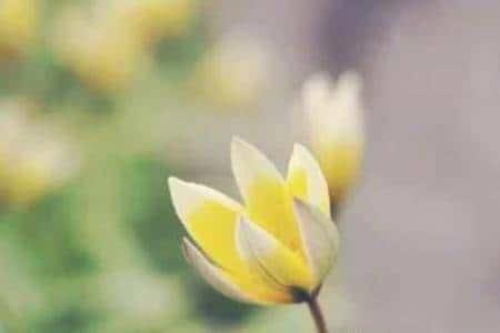 婚后无爱无性生活 认清4点让婚姻保卫战不寒心