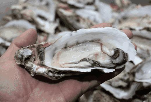 霍尊最爱的海狗丸真的能壮阳吗