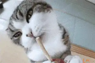 潮吹蜜汁她下面流的都是什么鬼