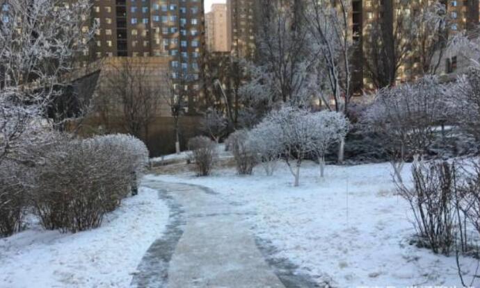 齐齐哈尔积雪2米 门口被积雪围堵37年最强暴雪威力太猛