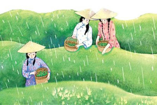 谷雨节气的说法-谷雨是什么意思呢-谷雨节气