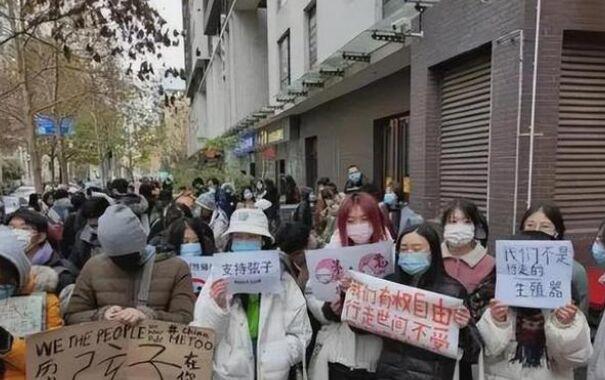 朱军与弦子事件始末 朱军与弦子案审理结果出炉