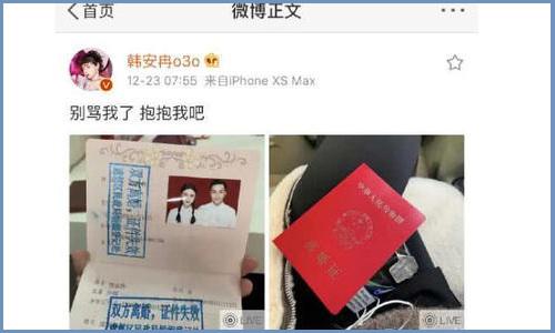 韩安冉离婚原因是什么 与和小猪互撕被扇20巴掌导致感情不和?