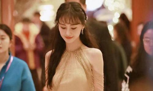 郑爽事件怎么回事 郑爽偷了多少税判了多少