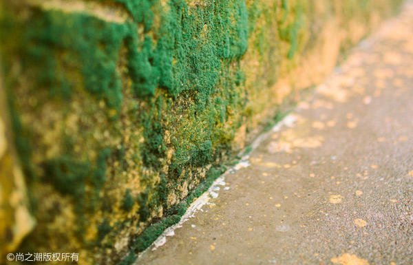 岳飞的妻子怎么死的 岳飞后代情况介绍还有谁活着