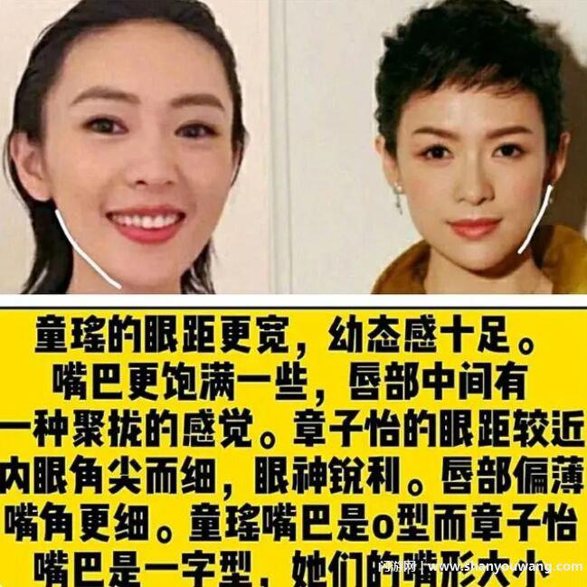 童谣和章子怡对比照 童谣和章子怡为啥那么像
