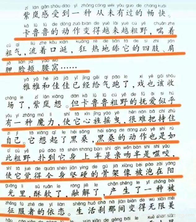 曹文轩出什么事了 曹文轩事件怎么回事