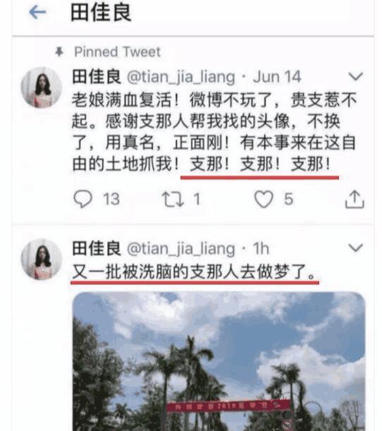洁洁良发表了什么言论 辱华精日骂爱国者粉红猪