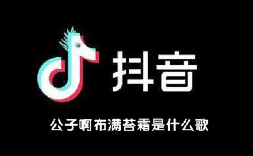歌词是公子啊抖音那个什么歌原唱 抖音最火歌曲含公子的都在这儿了