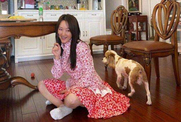 杨钰莹的红楼事件是怎么回事 网传杨钰莹为赖文峰堕过四次胎