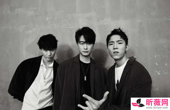 斑马森林乐队成员介绍 中国好声音斑马森林乐队演唱的歌曲有哪些