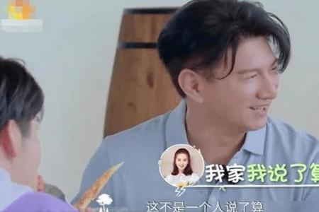 奇妙的小森林郑爽问吴奇隆二胎计划 吴奇隆比刘诗诗大多少岁