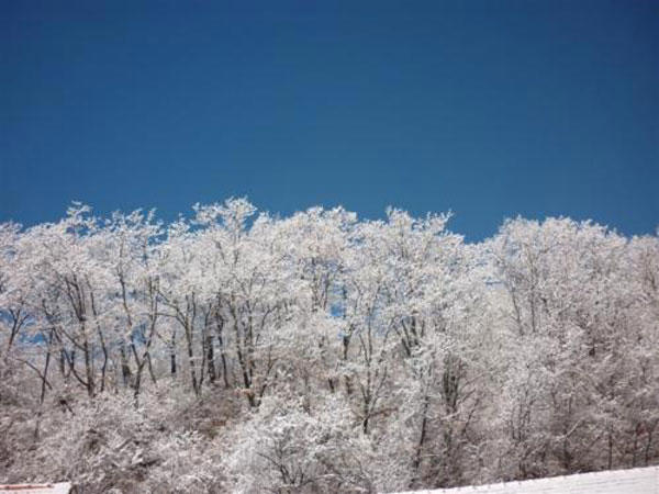 四月下雪好吗-北京四月下雪什么征兆-四月下雪寓意