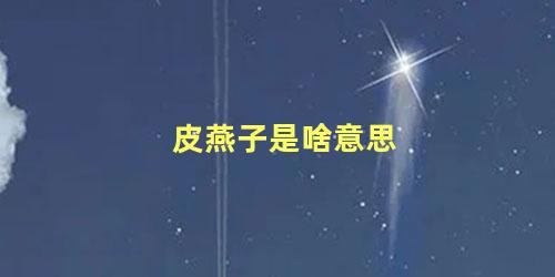 皮燕子是什么意思 小杨哥说皮燕子被封号让人震惊