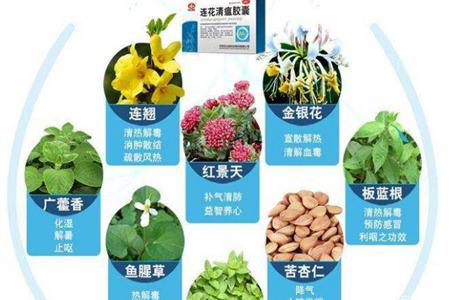 连花清瘟临床数据披露,连花清瘟胶囊功效与作用是什么?