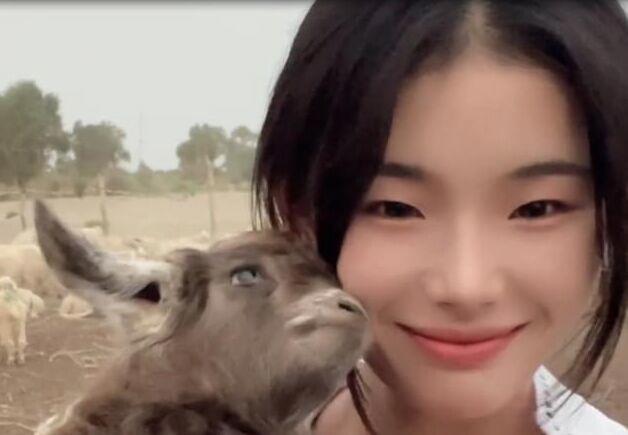灰太狼的羊个人资料简介 真名惠然被誉为荒漠屠夫