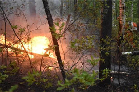 云南森林火灾2020最新消息 云南森林火灾消防员牺牲火因是什么