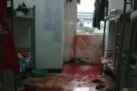 震惊全国的未破大案排行榜 南大碎尸诡异案件真相如何