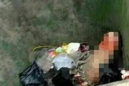 震惊全国的未破大案排行榜 南大碎尸诡异案件真相如何