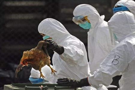 专家称北京疫情传染性似高于武汉 北京新增病例轨迹最新疫情速报