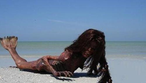 日本活吃美人鱼图片是真的吗 美人鱼真的存在吗这些证据被掩藏