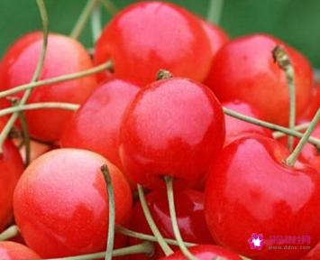 糖尿病人吃什么水果最好