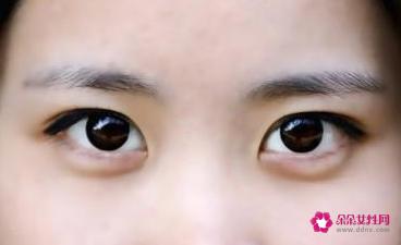 吃什么食物对眼睛有好处