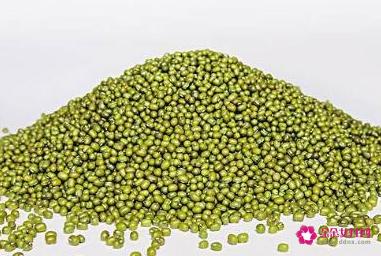 吃什么食物对眼睛有好处