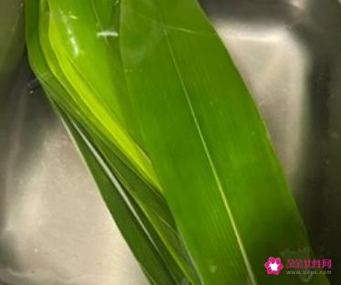 红豆粽子的做法和配料