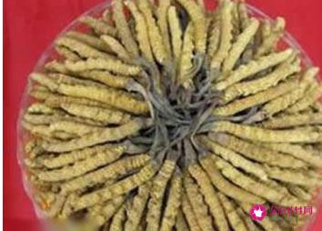 男人十大补肾壮阳食物