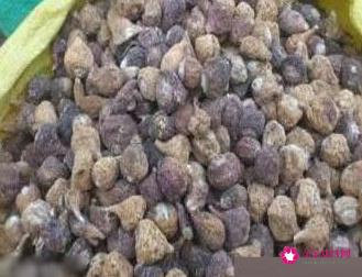 男人十大补肾壮阳食物