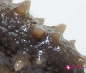 男人十大补肾壮阳食物