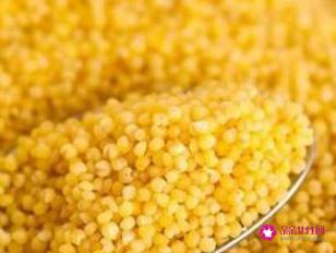 男人十大补肾壮阳食物