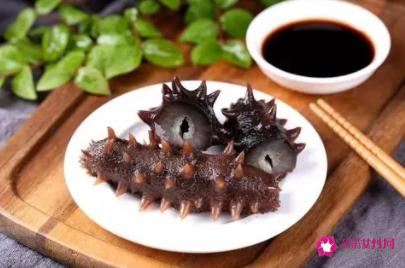 海参的十大功效与作用