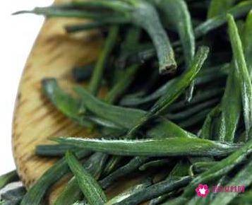 雀舌的功效与作用