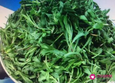 茼蒿功效与作用