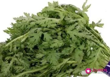 茼蒿功效与作用