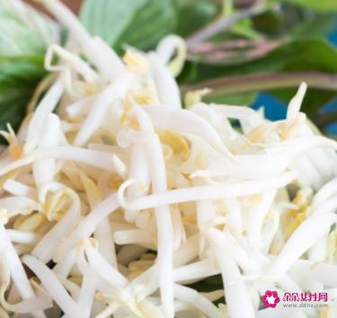 豆芽菜的作用与功效