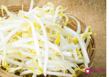 豆芽菜的作用与功效