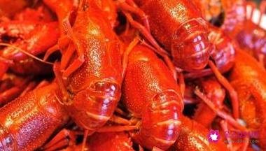 小龙虾的正确做法和吃法