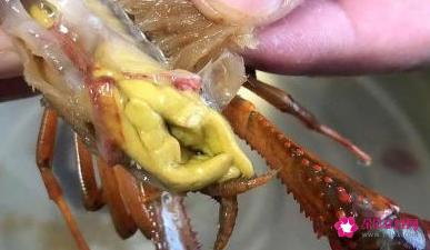 小龙虾的正确做法和吃法