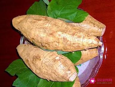 粉葛功效与作用