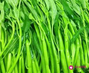 空心菜的营养成分和功效