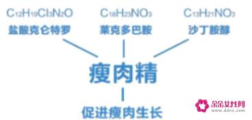 瘦肉精的危害