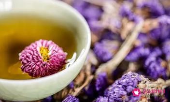 勿忘我花茶的功效与冲泡方法