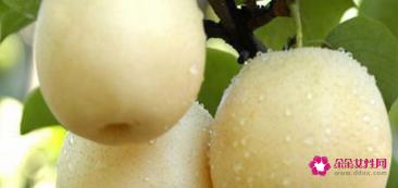 肝火旺吃什么水果